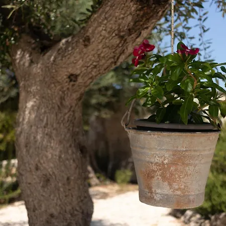 Trullo Cielo Cielo Prázdninový dům *