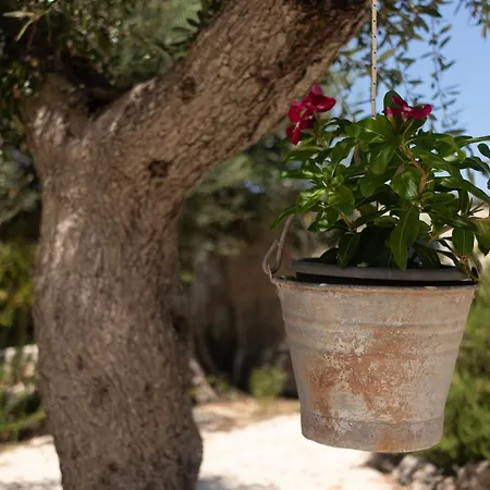 Vakantiehuis Trullo Cielo Cielo